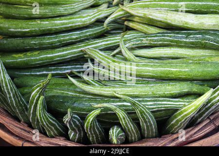 Frischer und gesunder Snake Gourd Vorrat im Laden Stockfoto