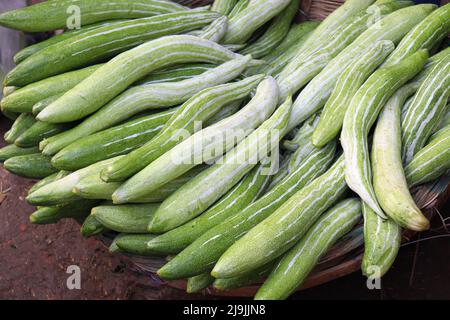 Frischer und gesunder Snake Gourd Vorrat im Laden Stockfoto