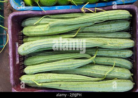 Frischer und gesunder Snake Gourd Vorrat im Laden Stockfoto