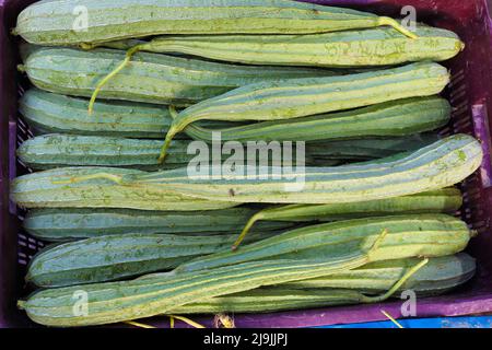 Frischer und gesunder Snake Gourd Vorrat im Laden Stockfoto