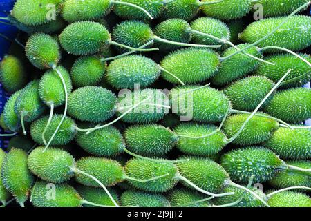 Frische gesunde süße bittere Gourd Lager im Geschäft zu verkaufen Stockfoto