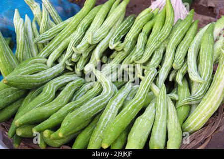 Frischer und gesunder Snake Gourd Vorrat im Laden Stockfoto