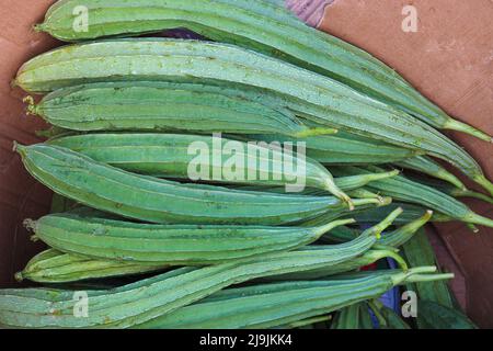 Frischer und gesunder Snake Gourd Vorrat im Laden Stockfoto