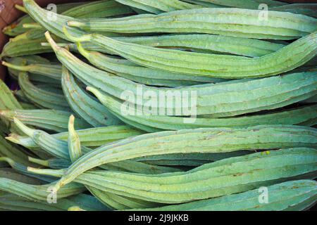 Frischer und gesunder Snake Gourd Vorrat im Laden Stockfoto