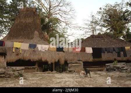 Eine Wäscheleine vor traditionellen Häusern im traditionellen Dorf Tarung in Soba Wawi, Loli, Waikabubak, West Sumba, East Nusa Tenggara, Indonesien. Stockfoto