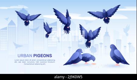 Tauben flache Komposition mit Stadtbild Hintergrund Silhouetten von Vögeln und Bearbeitbarer Text mit Bildern von Tauben Vektorgrafik Stock Vektor