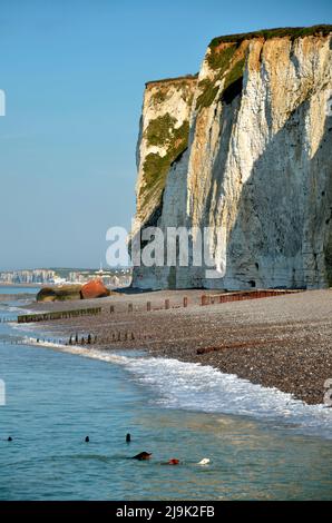 Klippen und Kiesstrand und drei Hunde schwimmen im Meer in Pourville, Gemeinde im Departement seine-Maritime in Frankreich Stockfoto