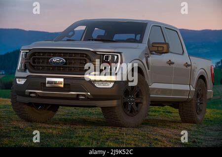 Der neue Ford F-150 Rattler 2023 bietet seinen Kunden einen charakteristischen Stil und langlebige Offroad-Fähigkeiten Stockfoto