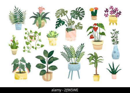 Verschiedene Topfpflanzen flache Vektor-Illustrationen Set. Zimmerblumen oder Pflanzen in Blumentöpfen oder Vasen, Alocasia, Begonia in Töpfen isoliert auf Whi Stock Vektor