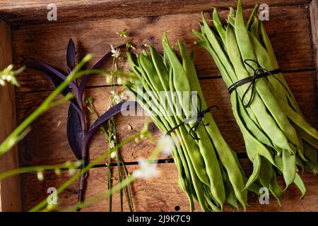 Rustikales und natürliches Bild von frisch geernteten frischen grünen Bohnen.gesunde Lebensmittel und Kochrezepte.Draufsicht Bund grüner Bohnen auf einem hölzernen Hintergrund. Stockfoto