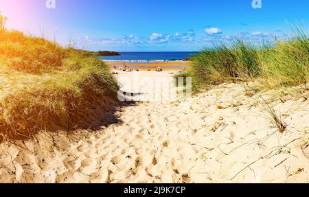 Sanddünen und Vegetation zum Strand.Weg zu Einem Sonnenuntergang Strand. Stockfoto