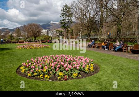 Menschen Touristen Besucher Hope Park öffentliche Gartengärten Blumen im Frühling Winter mit Skiddaw im Hintergrund Keswick Cumbria England Großbritannien Stockfoto