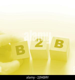 B2B Abkürzung auf Holzwürfeln. Marketing-Konzept von Business zu Business Stockfoto