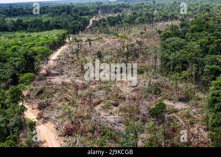 Entwaldung des Amazonas-Regenwaldes. Waldstück im Prozess der Räumung der Vegetation. Umwelt, Ökologie, Klimakonzepte. Stockfoto