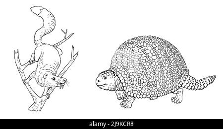 Prähistorische Tiere - sabertooth Eichhörnchen und Glyptodon. Zeichnung mit ausgestorbenen Säugetieren. Silhouette Zeichnung für zum ausmalen. Stockfoto