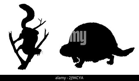 Prähistorische Tiere - sabertooth Eichhörnchen und Glyptodon. Zeichnung mit ausgestorbenen Säugetieren. Silhouettenzeichnung. Stockfoto