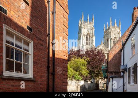 York Minster vom Precentor's Court aus gesehen in York, England. Stockfoto