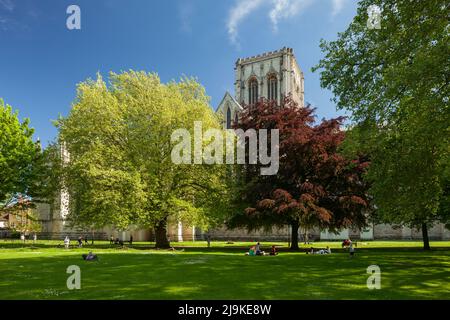 Frühlingsnachmittag im Dean's Park in der Nähe des York Minster. York, England. Stockfoto