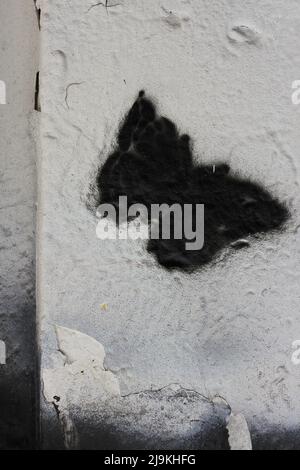 Schöner Monarch Schmetterling flattert, während er auf einer Stadtmauer gemalt wird. Stockfoto