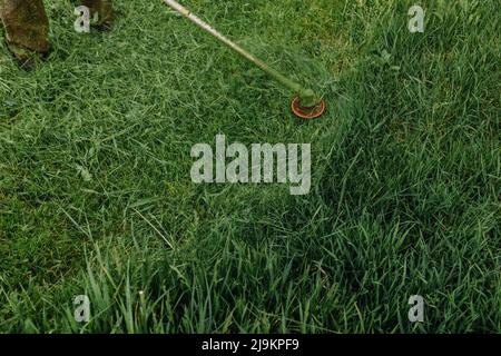 Ein Mann mäht das Gras auf dem Rasen mit einem Rasenmäher. Heimwerkerbedarf. Nahaufnahme. Hochwertige Fotos Stockfoto