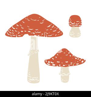 Fliegenpilz-Set, krötendockter niedlicher, ungenießbarer Pilz. Amanita muscaria. Vektorgrafik im Cartoon-Stil isoliert auf weißem Hintergrund Stock Vektor