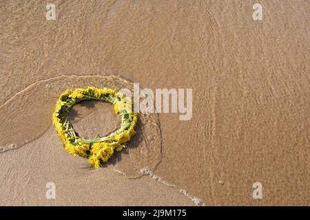 Der Kranz mit gelben Delelionblüten liegt am Strand. Es wird von den Wellen der Ostsee gewaschen. Ligo. Lettland Stockfoto