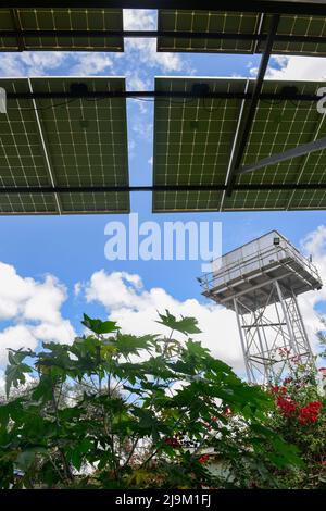 KENIA, Namanga, Solarmodul für solarbetriebene Wasserpumpe, um einen Tank zu füllen, um Gemüsefelder durch Tropfbewässerung zu bewässern Stockfoto