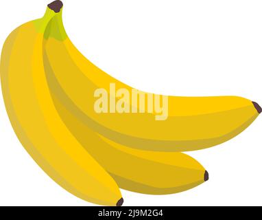 Reife gelbe Bananen auf weißem Hintergrund, Bananenfrucht isoliert auf weiß, Vektorgrafik Stock Vektor