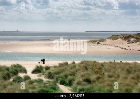 Alnmouth Northumberland, Blick im späten Frühjahr auf ein Paar, das mit seinem Hund auf einem einsamen Sandstrand in Alnmouth, Northumberland Coast, Großbritannien, läuft Stockfoto