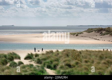 Holiday Beach UK, Blick im späten Frühling auf ein Paar, das mit seinem Hund auf einem einsamen Sandstrand in Alnmouth, Northumberland Coast, Großbritannien, läuft Stockfoto