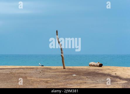 Holzmast und Treibholz am einsamen Strand, Spiaggia di Piscinas, Sardinien, Italien Stockfoto