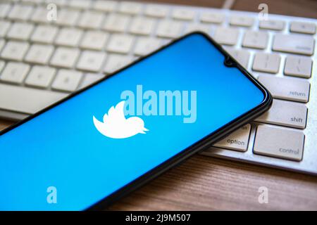 In dieser Abbildung wird ein Twitter-Logo auf einem Smartphone angezeigt, das auf einer Computertastatur platziert ist. Stockfoto