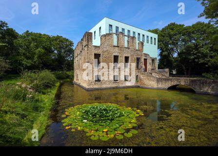 Bochum, Nordrhein-Westfalen, Deutschland - Schlosspark Weitmar. Park mit den Ruinen eines Herrenhauses aus dem 16.. Jahrhundert, dem Weitmar-Haus, einem ehemaligen nob Stockfoto