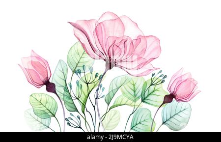 Transparentes Aquarellbanner mit Rosé. Großes Blumenarrangement aus rosa Blüten, Knospen und Eukalyptusblättern. Abstrakte handbemalte Illustration für Hochzeit Stockfoto