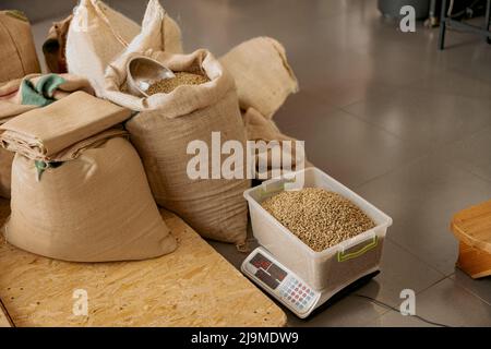 Box mit rohen Kaffeebohnen steht auf einer Waage bereit zum Rösten in der Kaffeemaschine Stockfoto