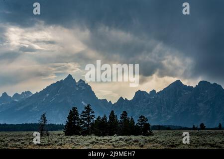 Stürmische Wolken Hover über Grand Teton Range und Sagebush Field im Sommer Stockfoto