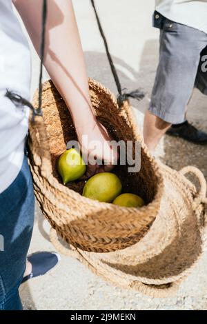 Von oben der Ernte nicht erkennbare weibliche Bäuerin in legerer Kleidung tragen Weidenkorb mit frischen Zitronen während der Ernte arbeitet an sonnigen Tag in cou Stockfoto