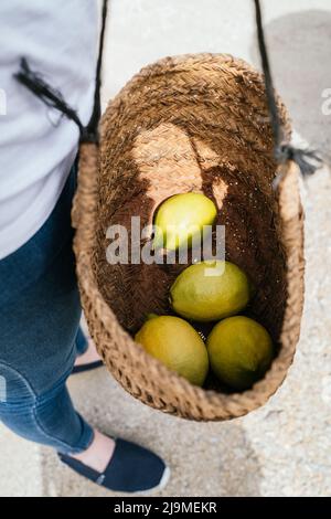 Von oben der Ernte nicht erkennbare weibliche Bäuerin in legerer Kleidung tragen Weidenkorb mit frischen Zitronen während der Ernte arbeitet an sonnigen Tag in cou Stockfoto