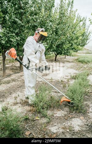 Ganzkörper-Seitenansicht des gealterten männlichen Bauern in weißer Overall-Kleidung und Schutzmaske, die Gras mit Unkrautfräser schneidet, während sie im Garten bei bewölktem Wetter arbeitet Stockfoto