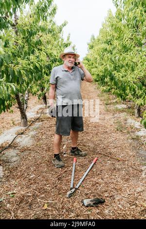 Langer älterer Mann in legerer Kleidung und Hut, der in der Nähe von Scheren auf einem Pfad inmitten von Obstbäumen steht und während der Arbeit auf dem Bauernhof auf Summe am Handy spricht Stockfoto