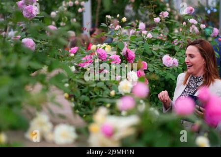 Ein Besucher blickt auf Blumen im Garten von David Austin Roses bei der RHS Chelsea Flower Show im Royal Hospital Chelsea, London. Bilddatum: Dienstag, 24. Mai 2022. Stockfoto