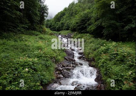 Blick auf einen kleinen Wasserfall Hasliberg Dorf in der Schweiz umgeben von alpinen Bergen und Grün. Stockfoto