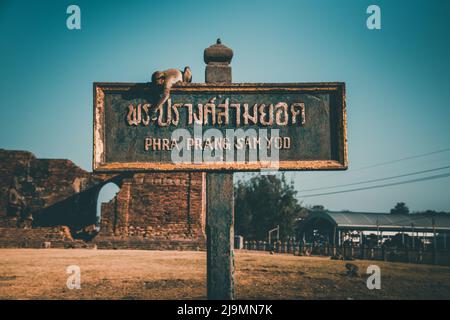 Pra Prang Sam Yod oder Phra Prang Sam Yot ruinieren Tempel mit Affen, in Lopburi, Thailand Stockfoto