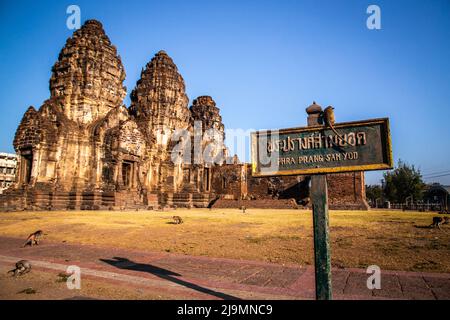 Pra Prang Sam Yod oder Phra Prang Sam Yot ruinieren Tempel mit Affen, in Lopburi, Thailand Stockfoto