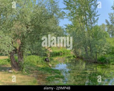 Quelle des Flusses Cetina bei Sinj in Kroatien Stockfoto