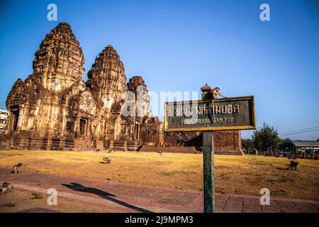 Pra Prang Sam Yod oder Phra Prang Sam Yot ruinieren Tempel mit Affen, in Lopburi, Thailand Stockfoto