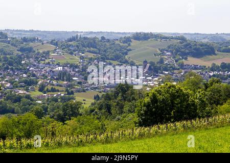 Blick auf den Weinberg Jurançon und das Dorf Monein im Frühling. Bearn, Pyrenäen-Atlantiques, Frankreich Stockfoto