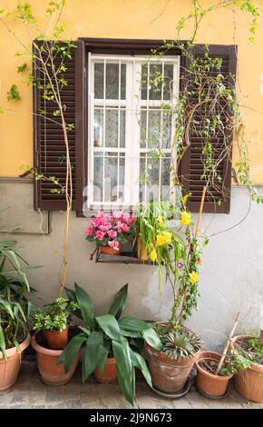 Charmante, blumige Gassen typisch italienischer Dörfer. Vallerano, mittelalterliches borgo von Italien in Laizo Region Stockfoto