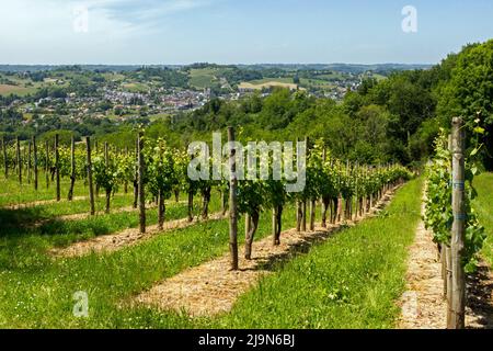 Blick auf den Weinberg Jurançon und das Dorf Monein im Frühling. Bearn, Pyrenäen-Atlantiques, Frankreich Stockfoto