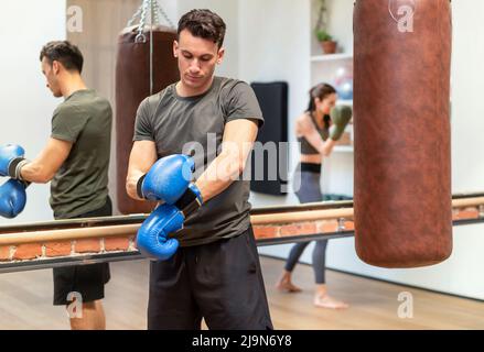 Entschlossener, athletischer Mann, der Boxhandschuhe aufsetzt, während er sich auf das Training vorbereitet und in der Nähe des Boxsackes im Fitnessstudio steht Stockfoto